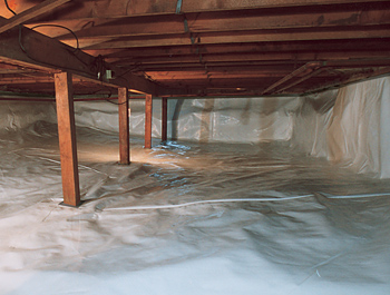 clean-crawl-space