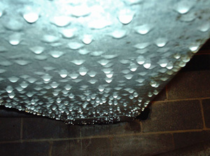 condensation-crawl-space-lg