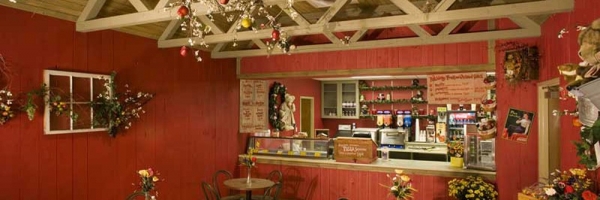 asheville lodge style home