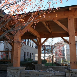 asheville log home