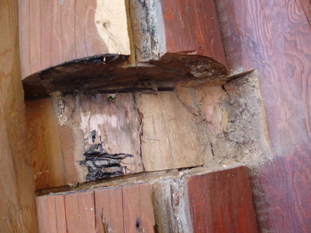 log home repairs