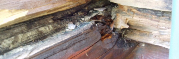 Log Deck Repair Blowing Rock NC